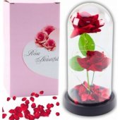 Eternal 2 Roses in Dome with LED Lighting and Rose Petals Red 21x11cm