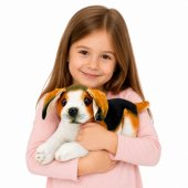 Plüsch-Beagle-Hund, Kuscheltier, weicher Hund, 25 cm