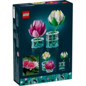 11511 Vandens lelijos