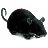 Didelis RC pelės žaislas su ratukais, juodas – Make a Prank