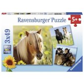 Ravensburger Puzzle 3x49 Dear Horses (080113)