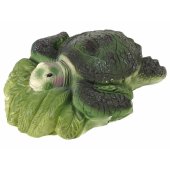 Ammonite Turtle Excavation Educational Kit