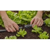 Micro-Drip-System T-piece for spray nozzles, 13mm (1/ 2"), conn
