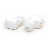 PM1001W TWS White