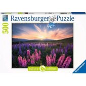 Puzzle 500 Lupines
