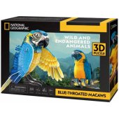 Cubic Fun Puzzle 3D  Sapphire macaw