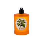 _8415680 Monotheme Book of Citruses Tualetes ūdens EDT 100ml (TESTER)