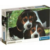 500 Compact Close together 35536