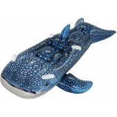 Whaletastic Wonders paspiriama transporto priemonė 41482