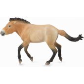 Collecta Prževalskio eržilo figūrėlė (88602)