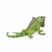 Collecta COLLECTA iguanos figūrėlė