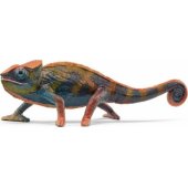 WILD LIFE Chameleon