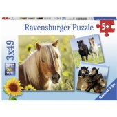 Ravensburger Puzzle 3x49 Dear Horses (080113)