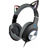 Shining Cat Black/ Grey
