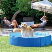 Foldable for Animals 492L 48400NP