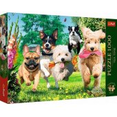 Trefl Premium Plus dėlionė, 1000 detalių, Tea Time Nadchodzą k