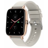 FW55 Aurum Pro Gold
