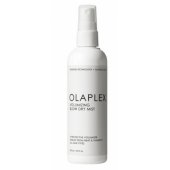 Plaukų apimties suteikiantis džiovinimo fenu purškiklis W 150ml