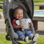 _7580461 Fisher-Price raminantis drambliukas