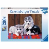 Puzzle 200 Husky