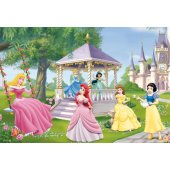 Enchanted Princesses 2 x 24 vnt.