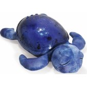 _7439389 Cloud B Tranquil Turtle, violetinė