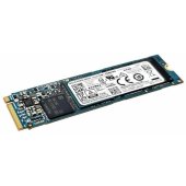 01LX200 256GB M.2 PCIe