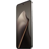15T 12/ 512GB Gray