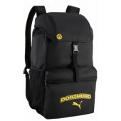 092449-01 Borussia Dortmund Culture
