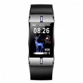 FW34 Silver