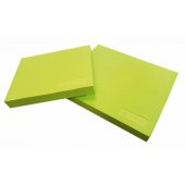Balance PAD 3014 40x33x5 cm