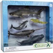 Figurka Collecta Zestaw 5 morskich zwierząt w opakowaniu 89671 COLLECT