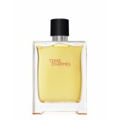Terre D Hermes EDT 100 ml