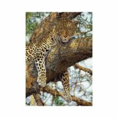 _6975367 Dino Puzzle 1000 pc Leopard