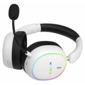 Phoenix 2 (ESH41) White