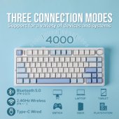 F75 EN White/ Blue/ Purple switch
