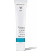 Med Ice Plant 40ml