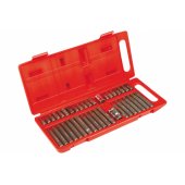 Top Tools Spline Torx Hex atsuktuvo antgaliai, 40 vnt. - 39D377