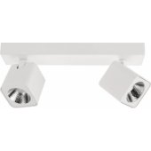 Italux LED lubinis šviestuvas-prožektorius 10 W AVEIRO SPL-31981-2B