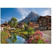 Alps in the summer 2000pcs