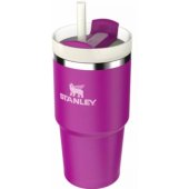 The Quencher H2.O FlowState Tumbler 0.6 Purple