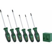 Bosch Powertools screwdriver + magnetizer set, 6 pieces (green/ black,