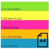 Neoninis A4 75 g 100 puslapių Rainbow