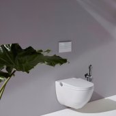 For Bidet DSE843/ 1CMAT juodas/ matinis