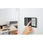 Wall Display X2 sidabrinis + Blu H&T dramblio kaulo