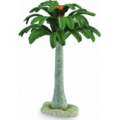 Collecta medis