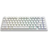 ALU81A Terra Nova (RU) White