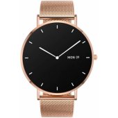Verona Gold Steel