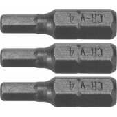 Dedra Hex H4x25mm atsuktuvo antgaliai, 3 vnt. lizdinėje pakuotėje (18A04H40-03)