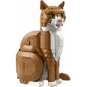 21376 Orange Cat